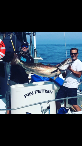 seabass-at-the-island (2)